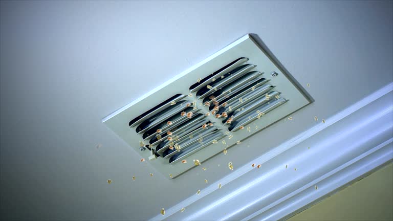 Best Affordable HVAC Duct Cleaning  in Bensley, VA